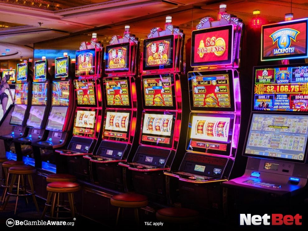 wg6|Bingo Online – Jogue Sem Risco no Plataforma de Cassino
